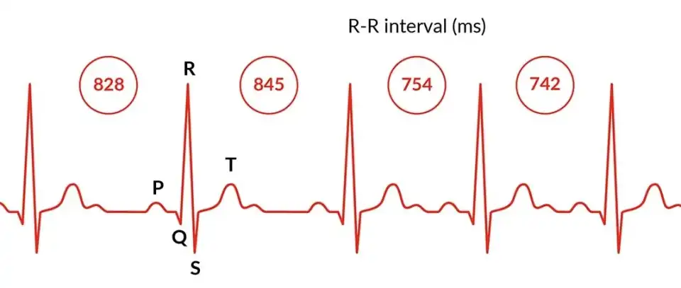 hrv-statusz