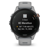Garmin Forerunner 255s Grey