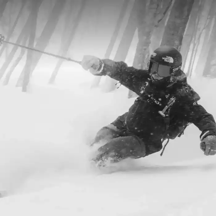 túrasíző jön le az erdőben szűz hóban