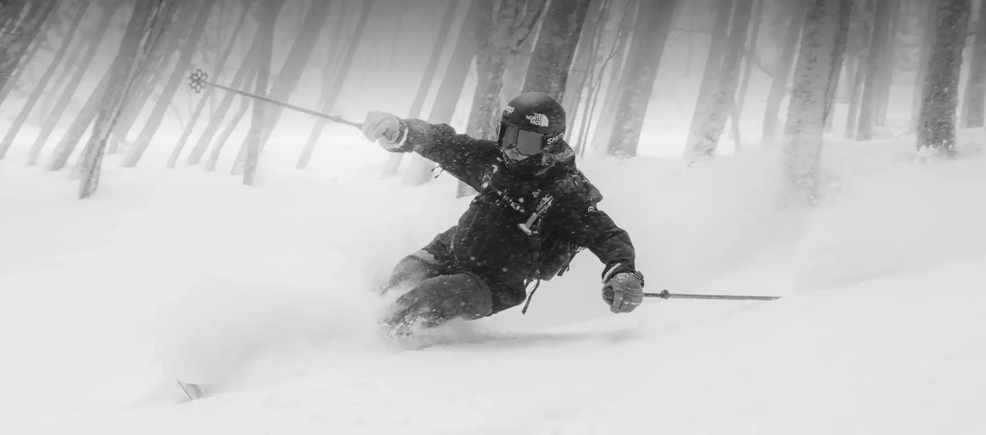 túrasíző jön le az erdőben szűz hóban